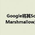  Google将其Sound Amplifier辅助功能扩展到Android Marshmallow及以上版本