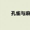 孔雀与麻雀（关于孔雀与麻雀简介）
