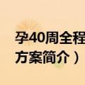 孕40周全程指导方案（关于孕40周全程指导方案简介）