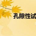孔隙性试验（关于孔隙性试验简介）