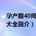 孕产期40周指导大全（关于孕产期40周指导大全简介）