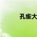 孔雀大明（关于孔雀大明简介）