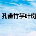 孔雀竹芋叶斑病（关于孔雀竹芋叶斑病简介）