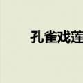 孔雀戏莲花（关于孔雀戏莲花简介）