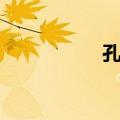 孔通（关于孔通简介）