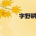 字野耕平（关于字野耕平简介）