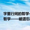 字里行间的哲学——被遗忘的隐微写作史（关于字里行间的哲学——被遗忘的隐微写作史简介）
