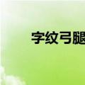 字纹弓腿蟹（关于字纹弓腿蟹简介）