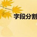 字段分割符（关于字段分割符简介）