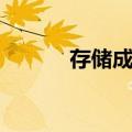 存储成本（关于存储成本简介）