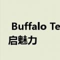  Buffalo Technology BS-GS2024P评论 开启魅力