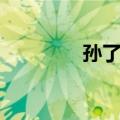 孙了红（关于孙了红简介）