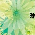 孙三（关于孙三简介）