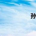 孙丽（关于孙丽简介）