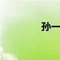 孙一娜（关于孙一娜简介）