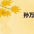 孙万军（关于孙万军简介）