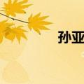 孙亚军（关于孙亚军简介）