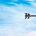 孙一元（关于孙一元简介）