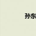 孙东晓（关于孙东晓简介）