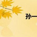孙一心（关于孙一心简介）