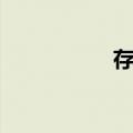 存量（关于存量简介）