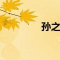 孙之鹏（关于孙之鹏简介）