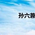 孙六兼元（关于孙六兼元简介）
