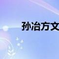 孙冶方文集（关于孙冶方文集简介）