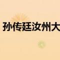 孙传廷汝州大败（关于孙传廷汝州大败简介）