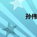 孙伟锋（关于孙伟锋简介）