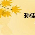 孙佳云（关于孙佳云简介）