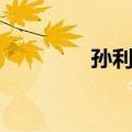 孙利民（关于孙利民简介）