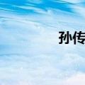 孙传哲（关于孙传哲简介）