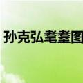 孙克弘耄耋图轴（关于孙克弘耄耋图轴简介）