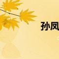 孙凤仪（关于孙凤仪简介）