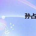 孙占元（关于孙占元简介）