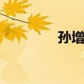 孙增强（关于孙增强简介）