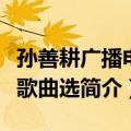 孙善耕广播电视歌曲选（关于孙善耕广播电视歌曲选简介）