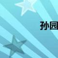 孙园镇（关于孙园镇简介）