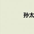 孙太初（关于孙太初简介）