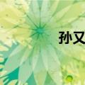 孙又奇（关于孙又奇简介）