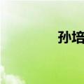 孙培国（关于孙培国简介）