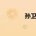 孙卫邦（关于孙卫邦简介）