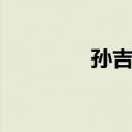 孙吉雄（关于孙吉雄简介）