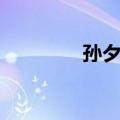 孙夕尧（关于孙夕尧简介）