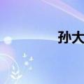 孙大河（关于孙大河简介）