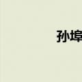 孙埠镇（关于孙埠镇简介）
