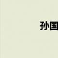 孙国升（关于孙国升简介）