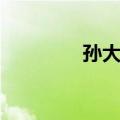 孙大中（关于孙大中简介）