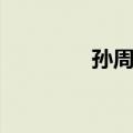 孙周卿（关于孙周卿简介）